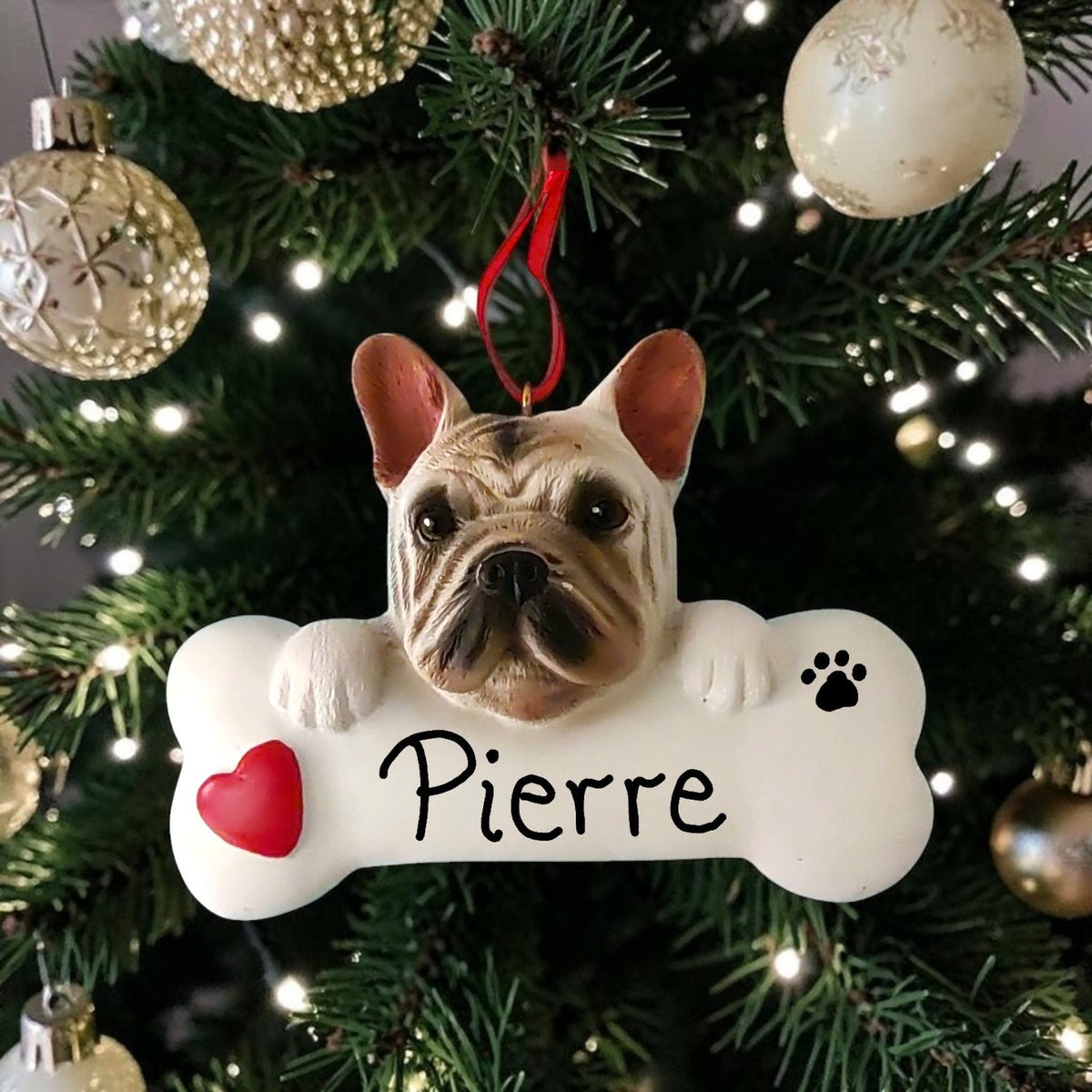 DOGS - FRENCH BULLDOG - Bone