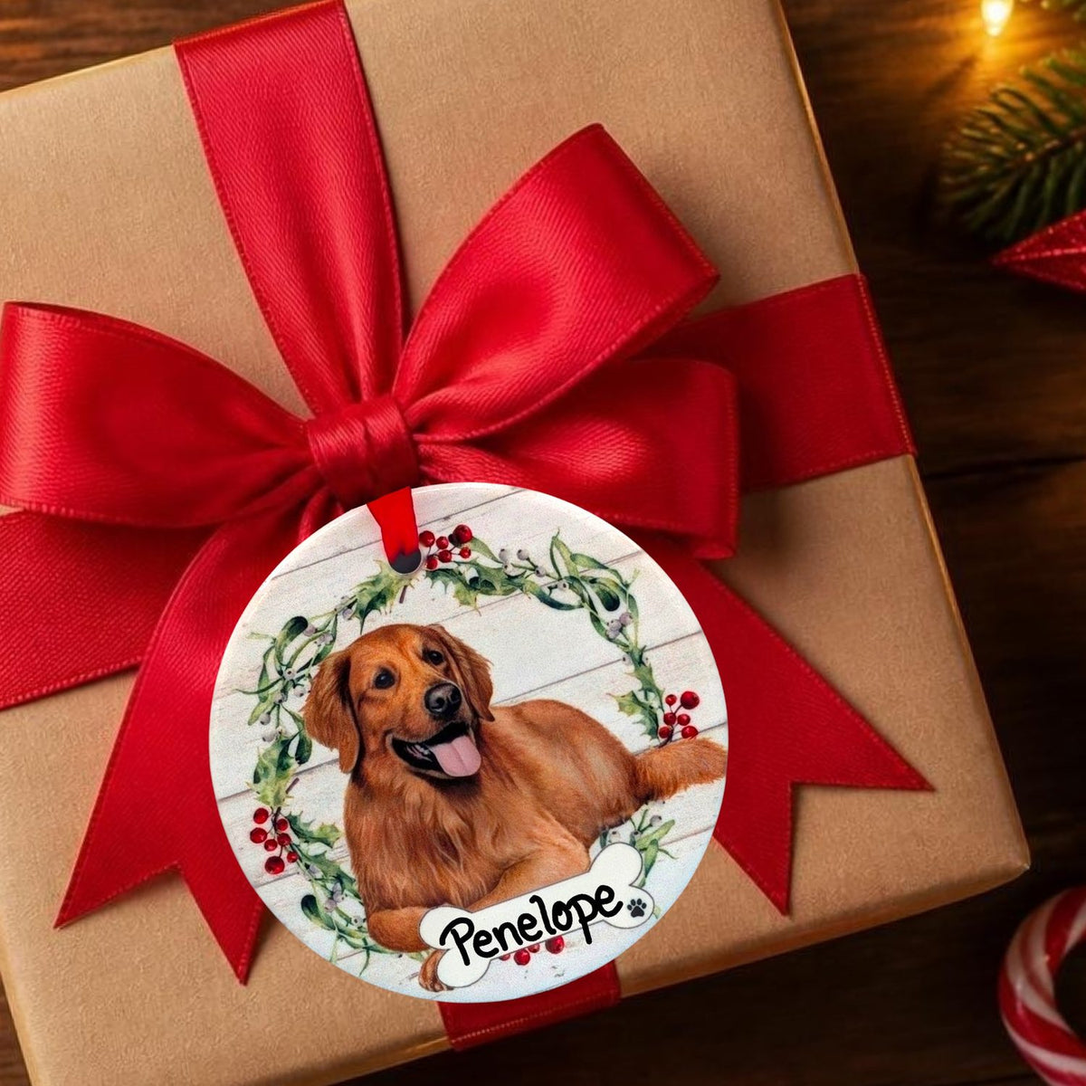 DOGS - GOLDEN RETRIEVER - FULL BODY - Disc
