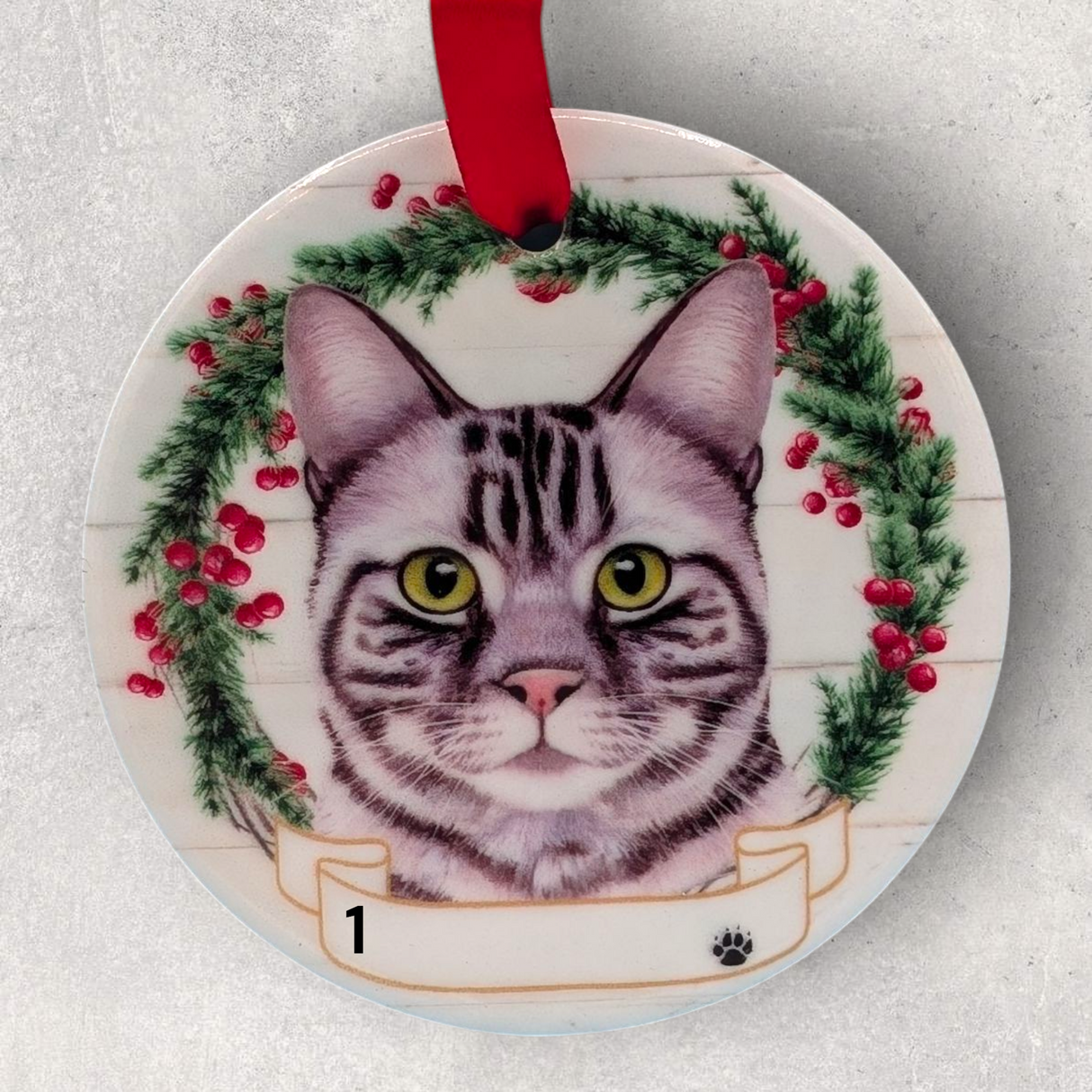 CAT - GRAY TIGER / TABBY in Disc