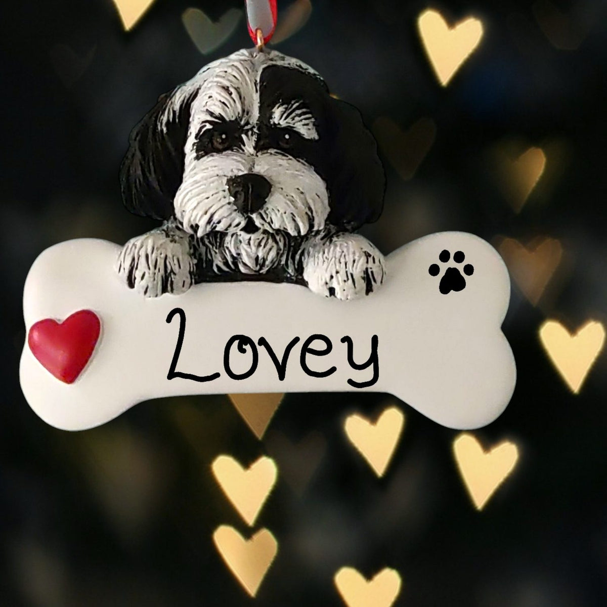 DOGS - HAVANESE - Bone
