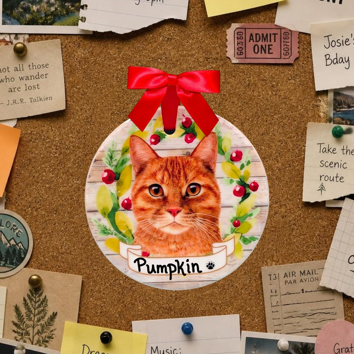 CAT - ORANGE TIGER / TABBY in Disc