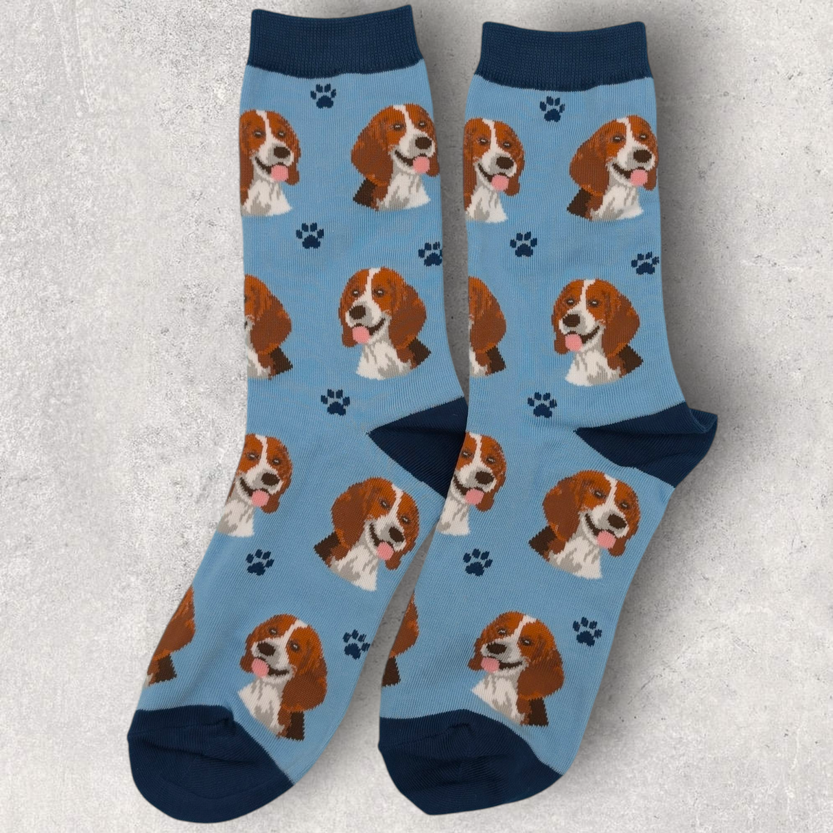 BEAGLE - SOCKS