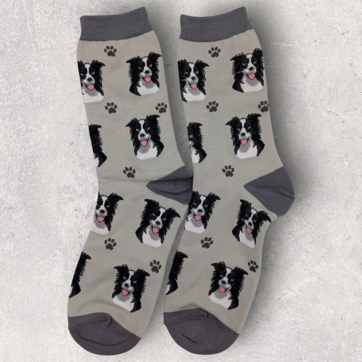 BORDER COLLIE - SOCKS
