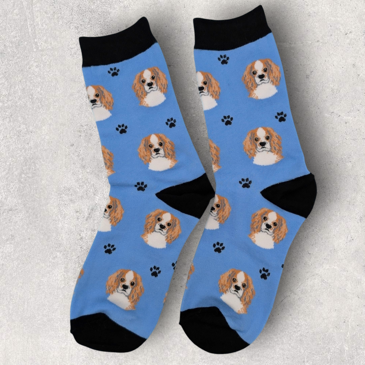 CAVALIER KING CHARLES (BROWN & WHITE) - SOCKS
