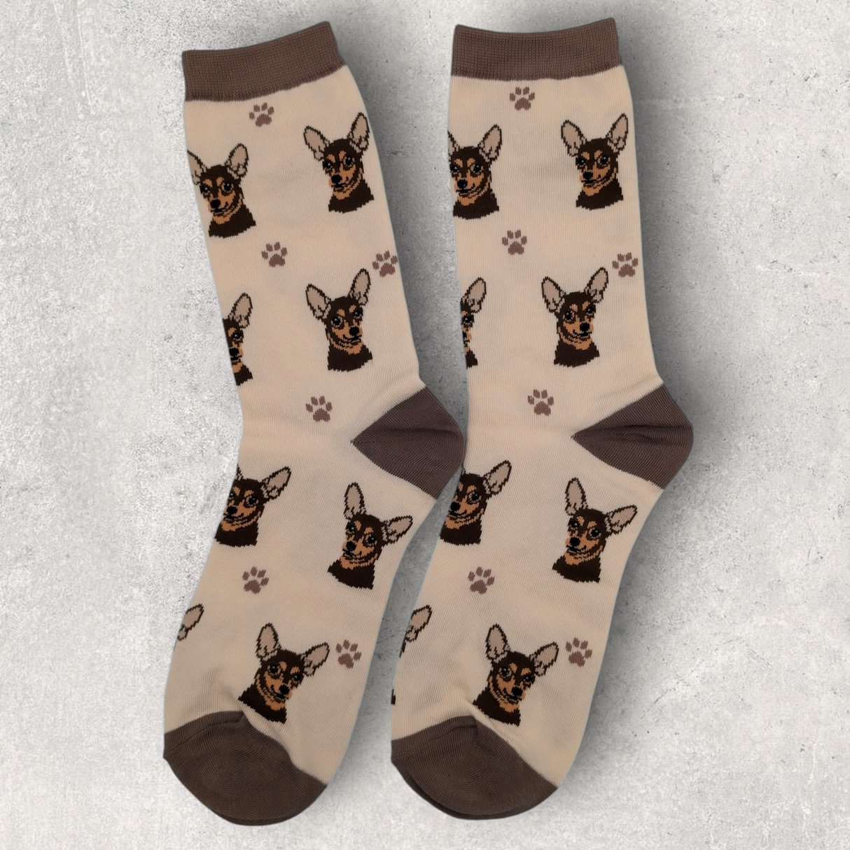 CHIHUAHUA (BLACK) - SOCKS