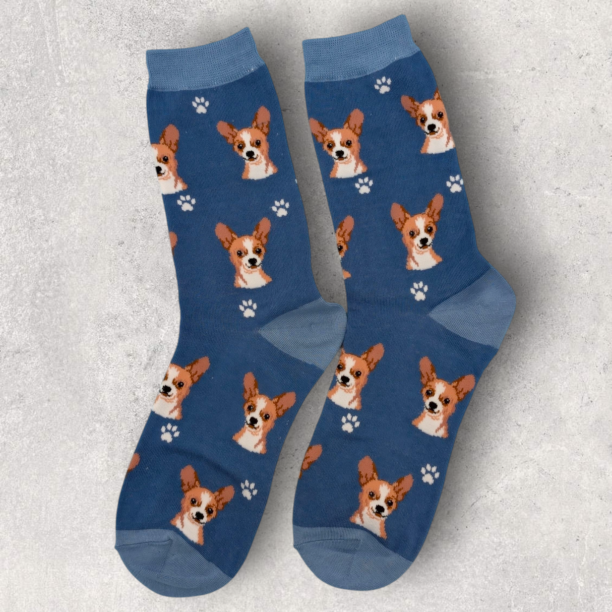 CHIHUAHUA (TAN / FAWN) - SOCKS