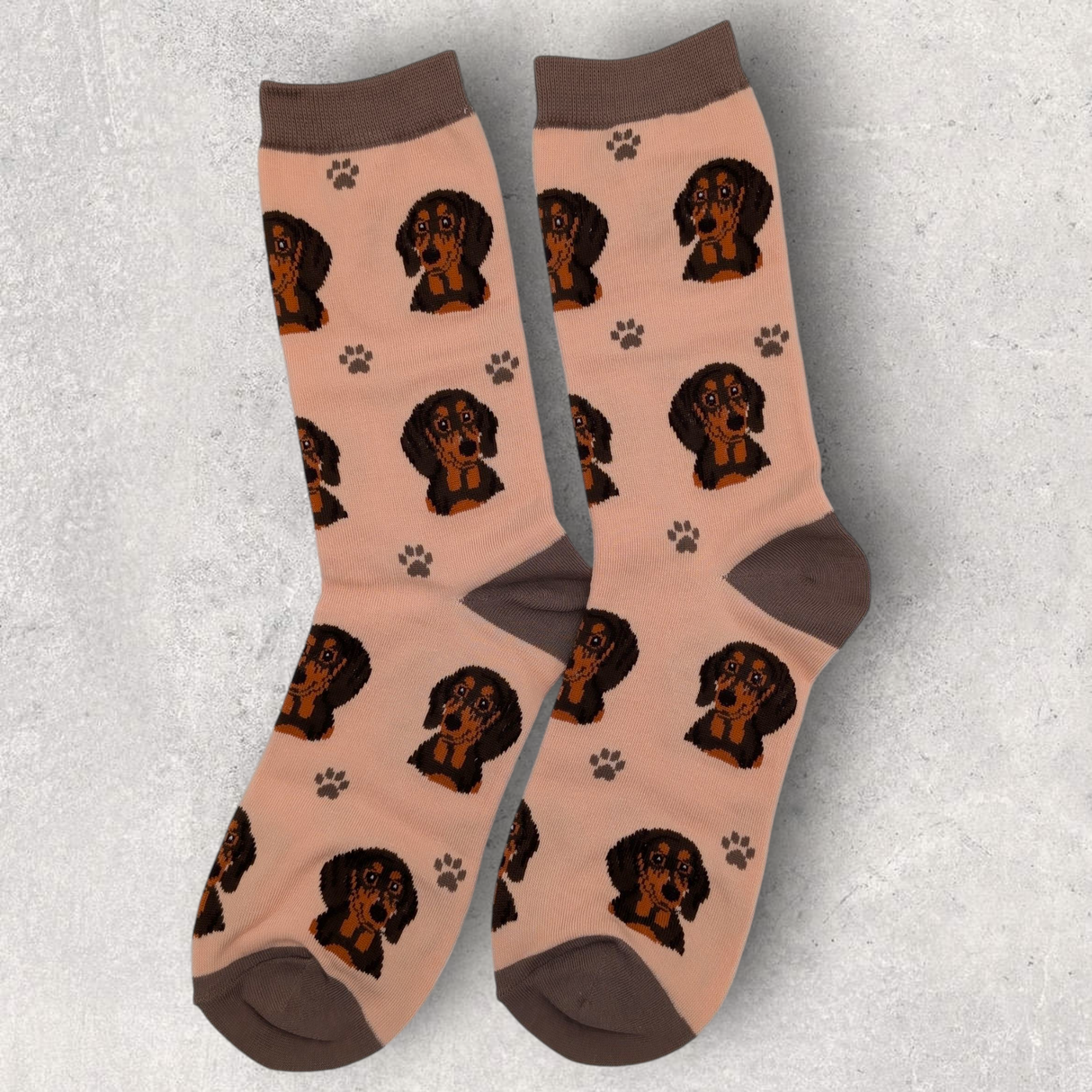 DACHSHUND (BLACK) - SOCKS