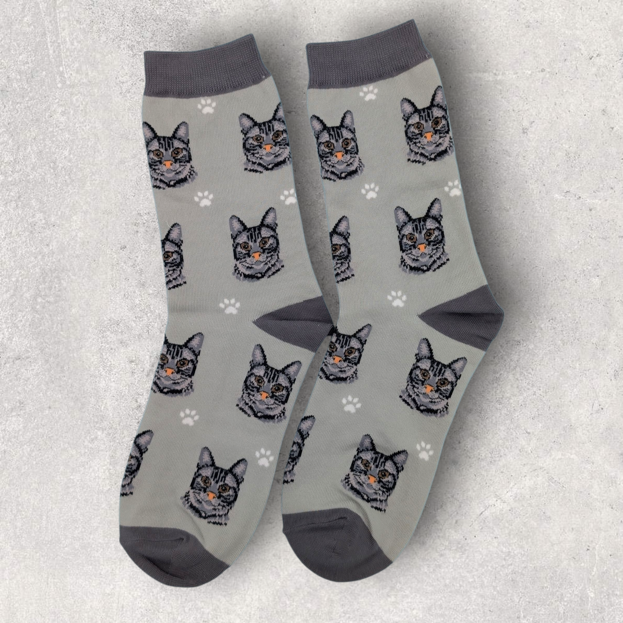 GRAY TABBY / TIGER CAT - SOCKS