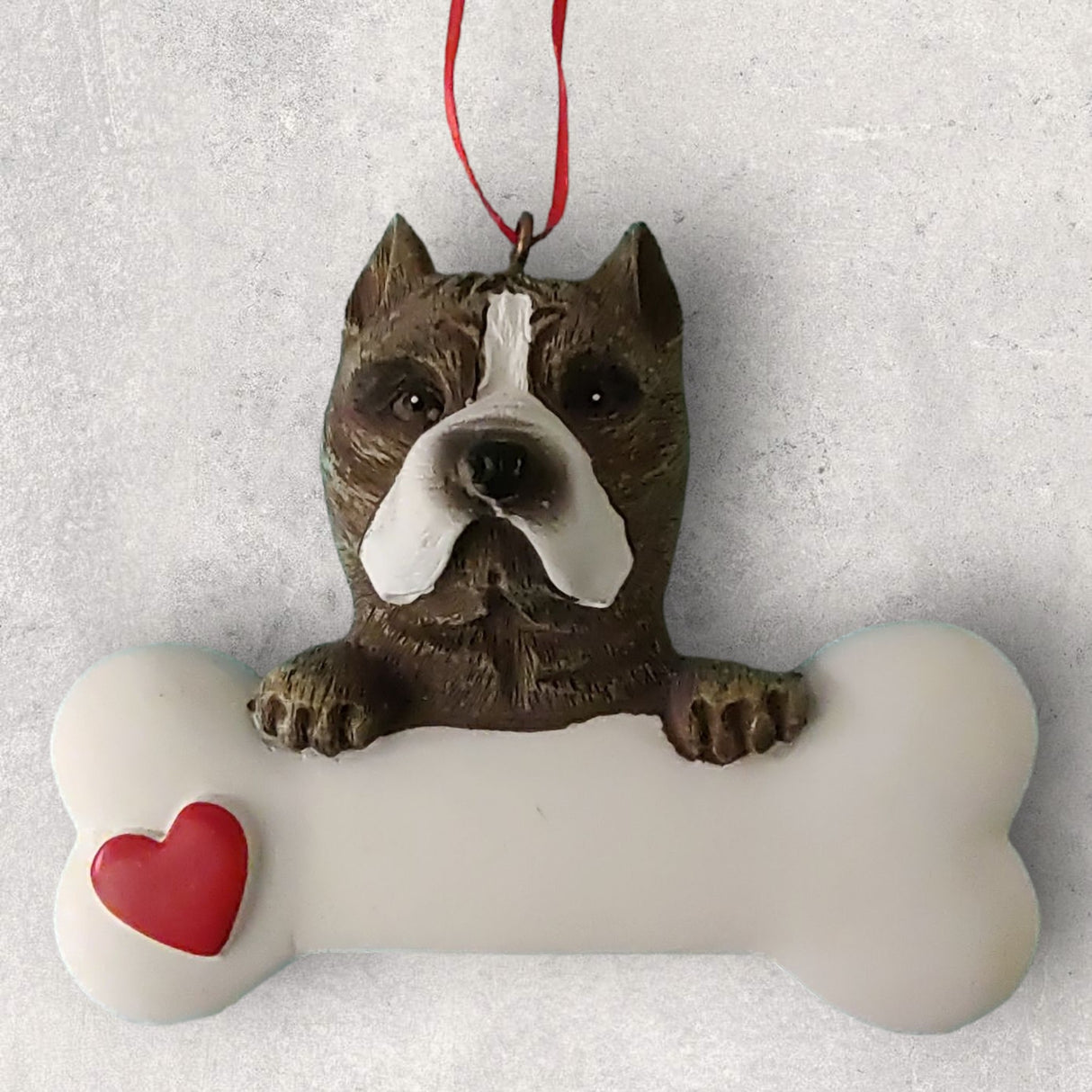 DOGS - PIT BULL - Bone