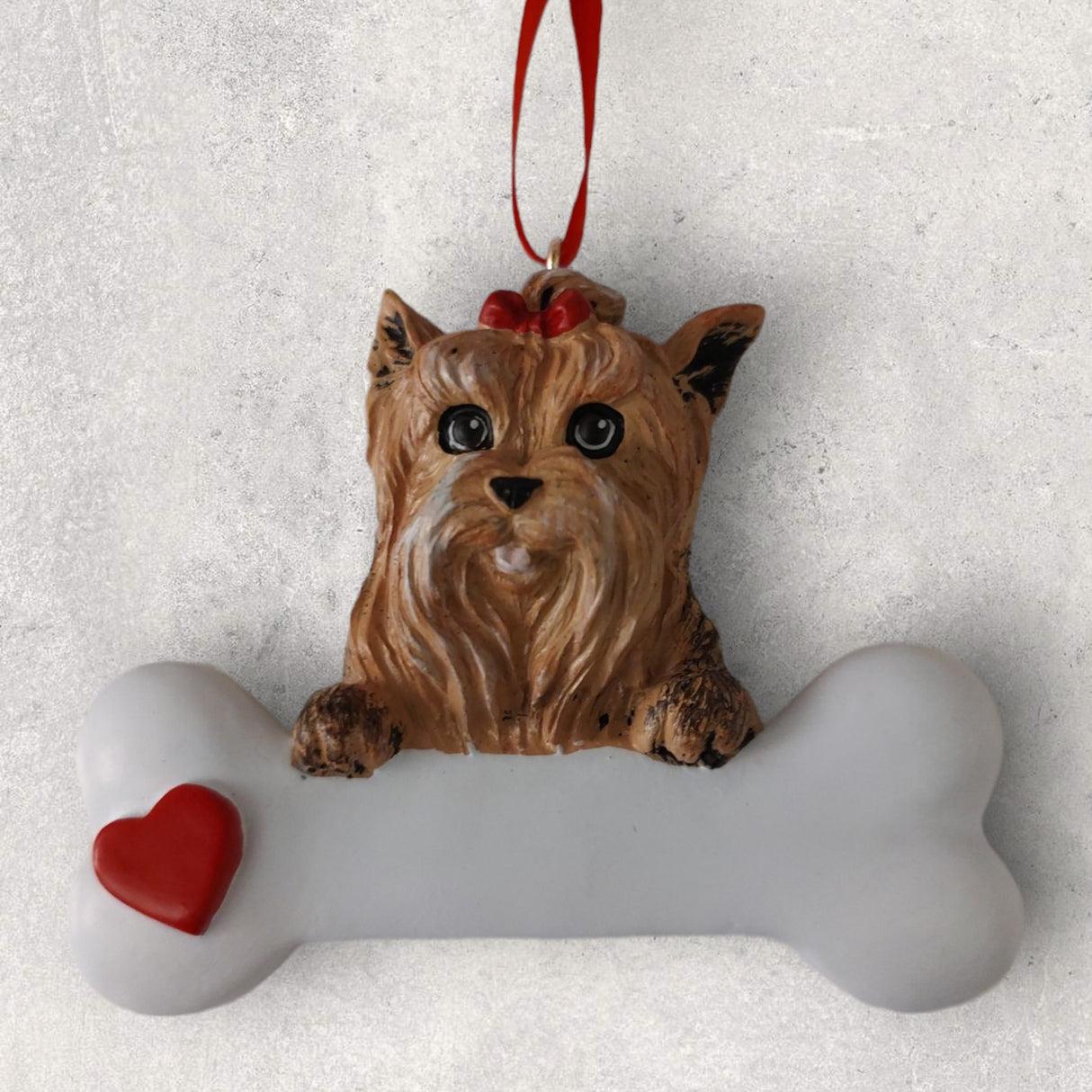 DOGS - YORKIE - Bone