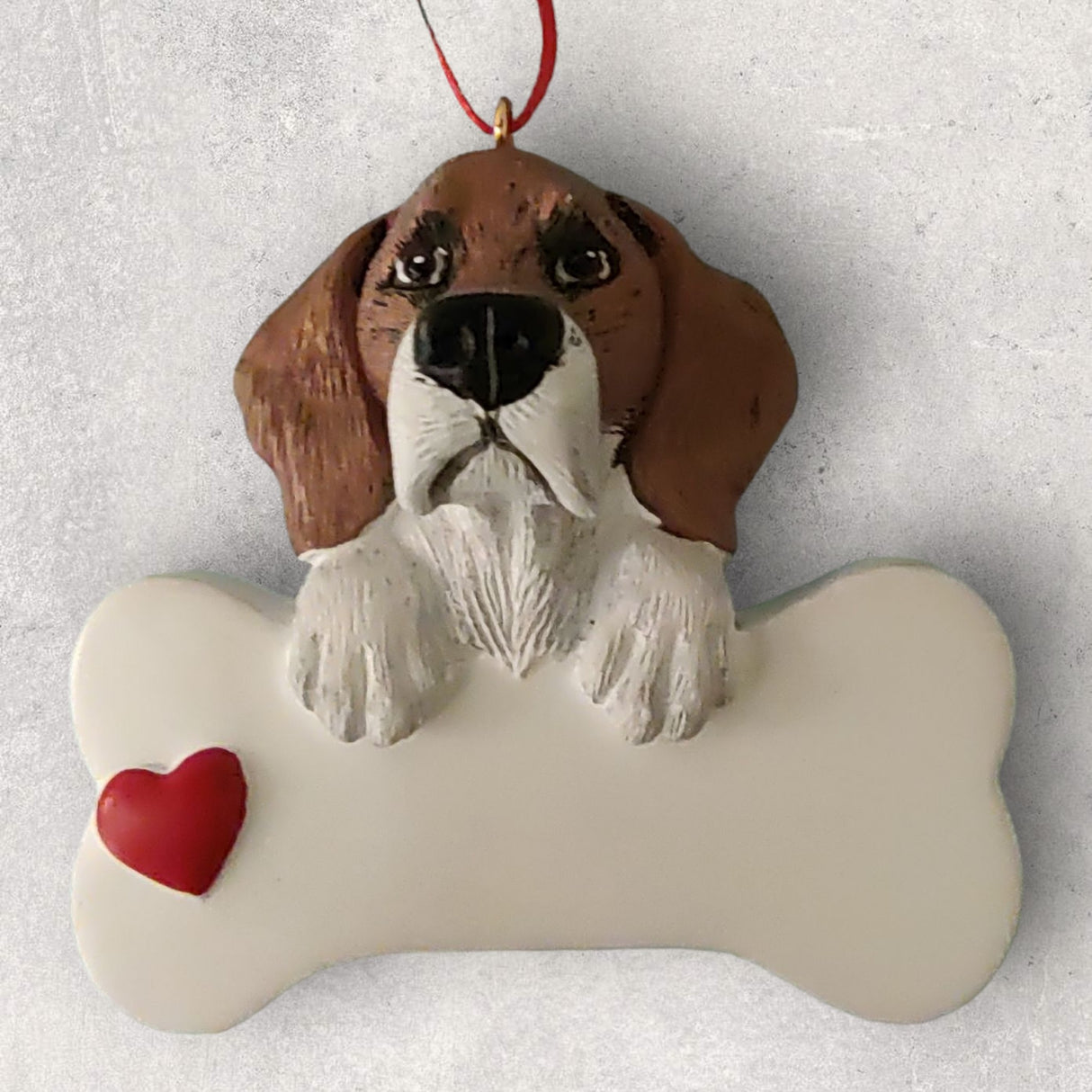 DOGS - BEAGLE - Bone