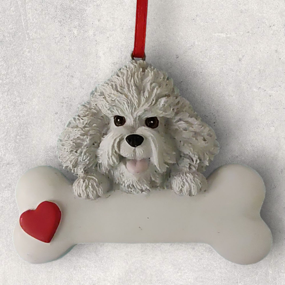 DOGS - BICHON FRISE - Bone