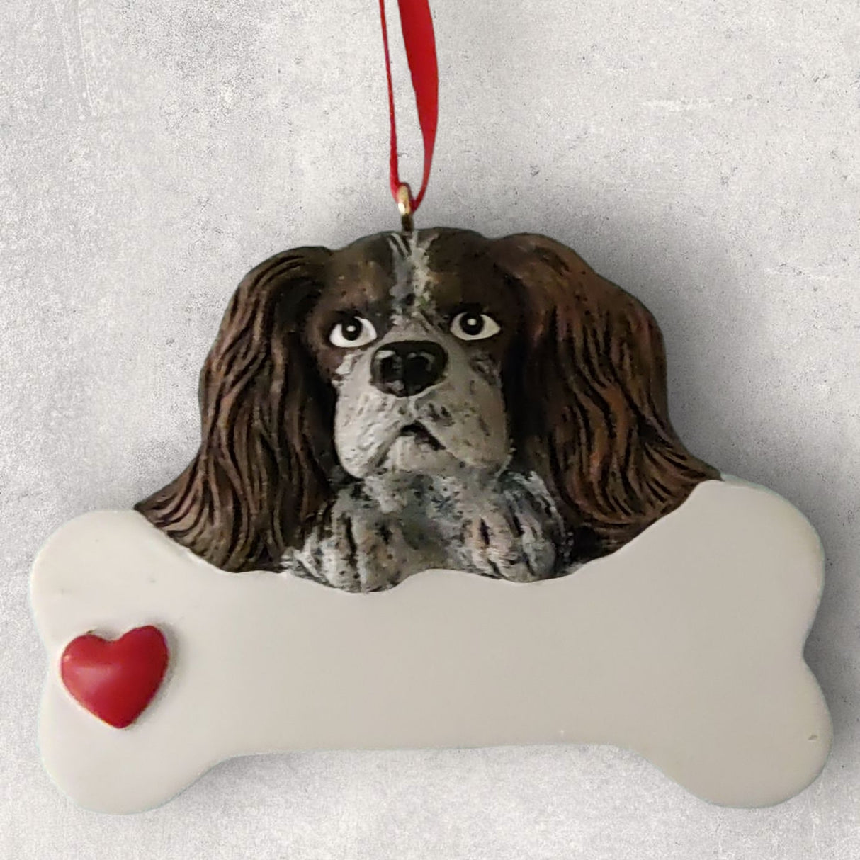 DOGS - CAVALIER KING CHARLES - Bone