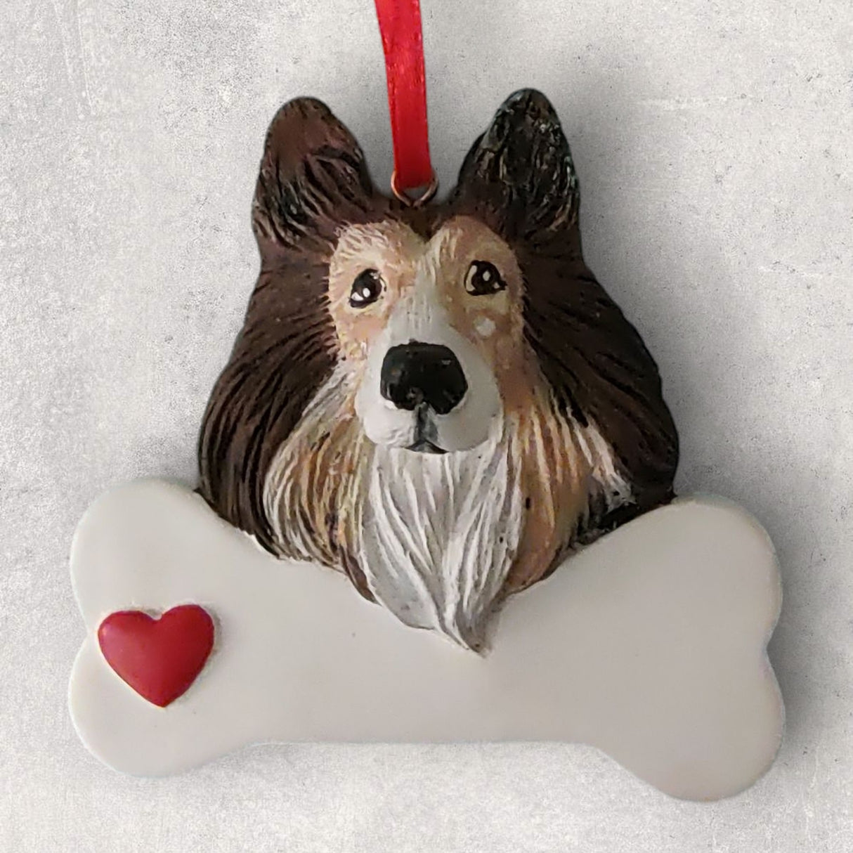 DOGS - COLLIE - Bone