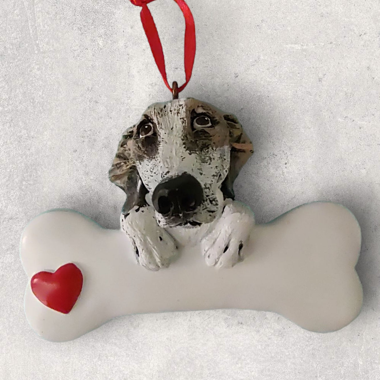 DOGS - GREYHOUND - Bone