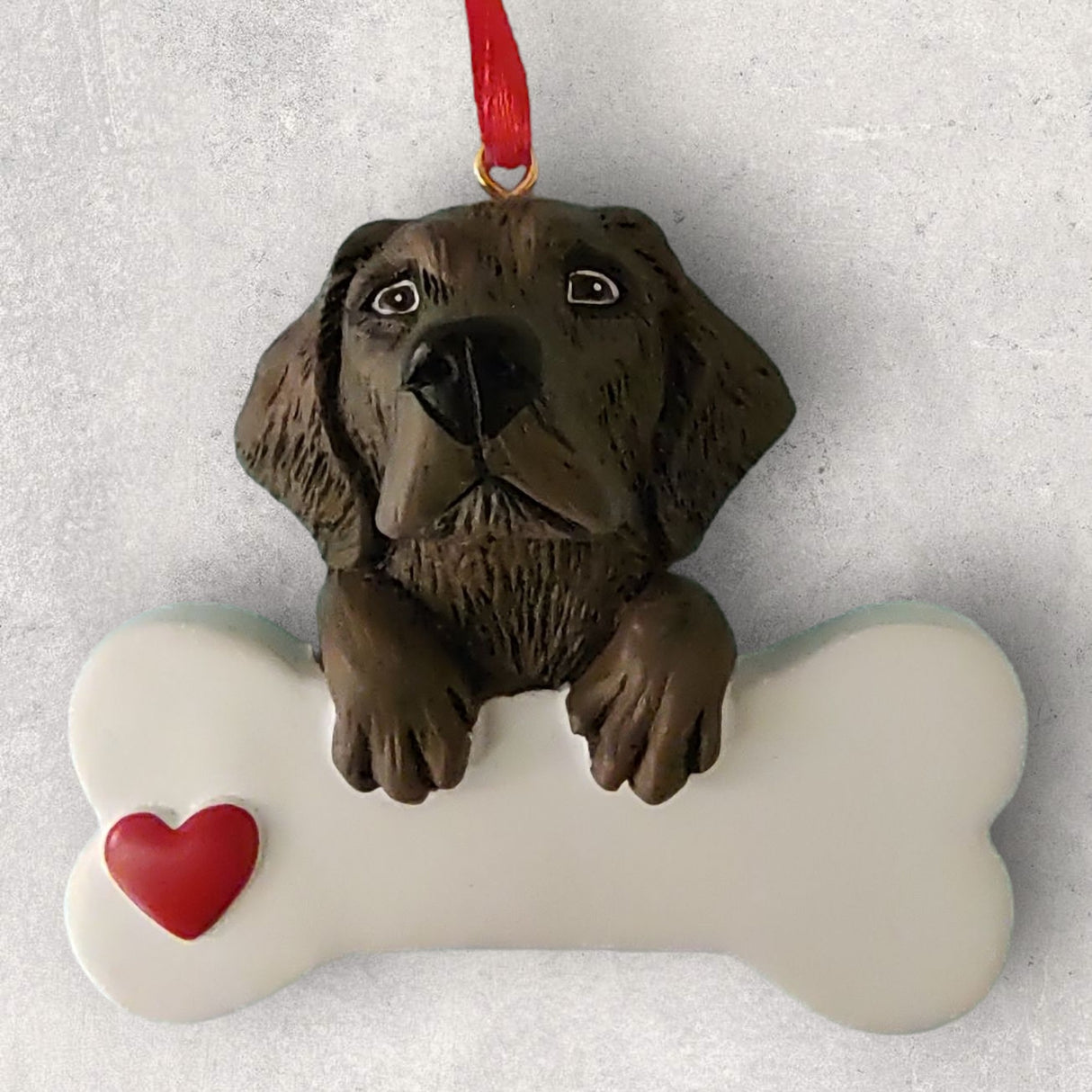 DOGS - CHOCOLATE LAB - Bone