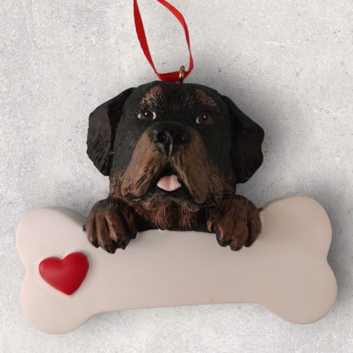 DOGS - ROTTWEILER - Bone