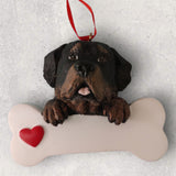 DOGS - ROTTWEILER - Bone