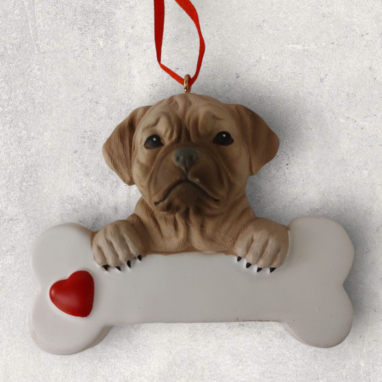 DOGS - PUGGLE - Bone