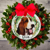 DOGS - BASSET HOUND - Disc