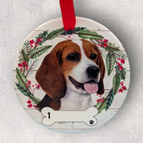DOGS - BEAGLE - Disc