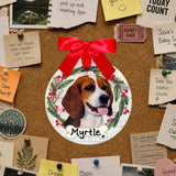 DOGS - BEAGLE - Disc