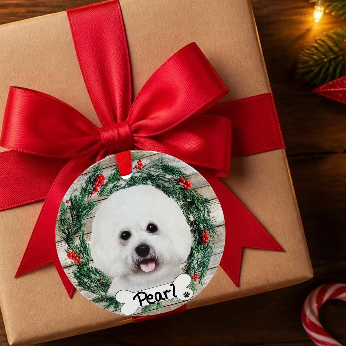 DOGS - BICHON FRISE - Disc
