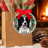 DOGS - BORDER COLLIE - Disc