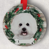 DOGS - BICHON FRISE - Disc