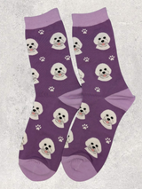 SOCKS - BICHON FRISE