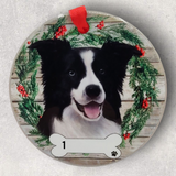 DOGS - BORDER COLLIE - Disc