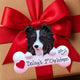 Cats & Dogs & Pet-Related