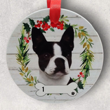 DOGS - BOSTON TERRIER - Disc