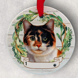 CAT - CALICO in Disc