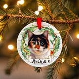 CAT - CALICO in Disc