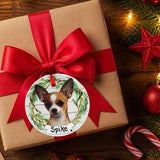 DOGS - CHIHUAHUA (BROWN) - Disc