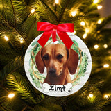 DOGS - DACHSHUND (RED) - Disc