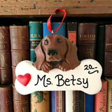 DOGS - DACHSHUND (RED) - Bone