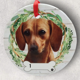 DOGS - DACHSHUND (RED) - Disc