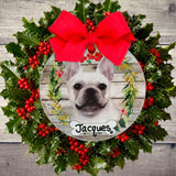 DOGS - FRENCH BULLDOG - Disc