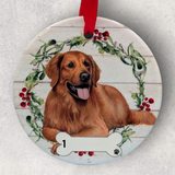 DOGS - GOLDEN RETRIEVER - FULL BODY - Disc