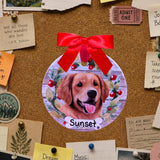 DOGS - GOLDEN RETRIEVER - Disc