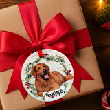 DOGS - GOLDEN RETRIEVER - FULL BODY - Disc