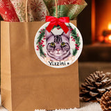 CAT - GRAY TIGER / TABBY in Disc
