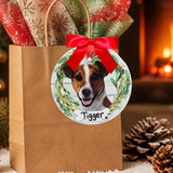 DOGS - JACK RUSSELL - Disc