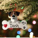 DOGS - JACK RUSSELL - Bone