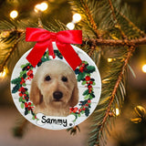 DOGS - LABRADOODLE - Disc