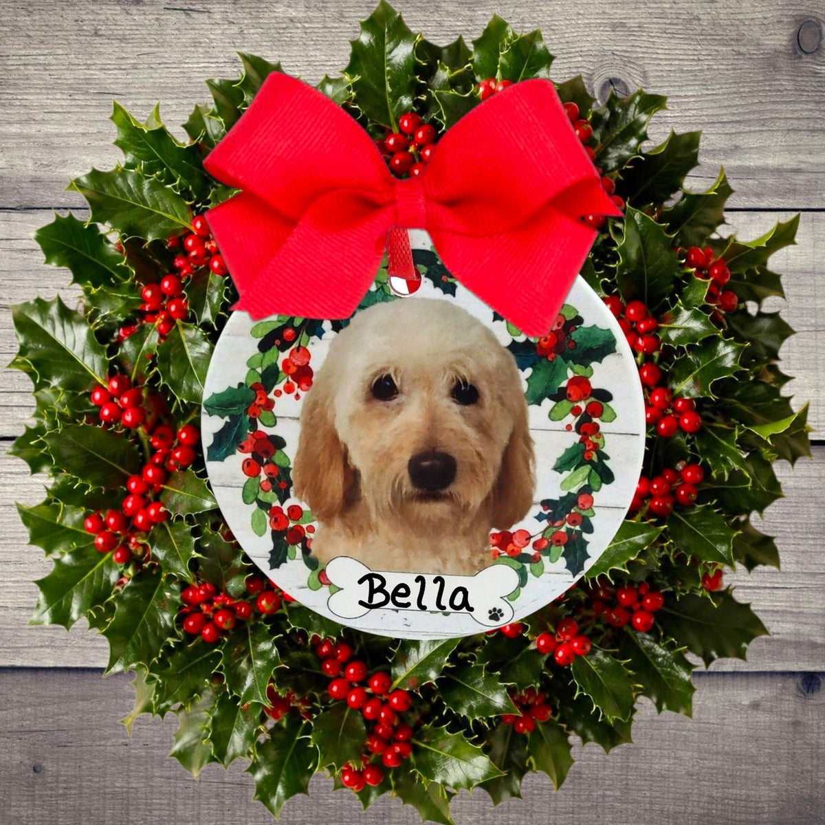 DOGS - LABRADOODLE - Disc