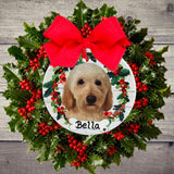 DOGS - LABRADOODLE - Disc