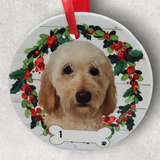 DOGS - LABRADOODLE - Disc